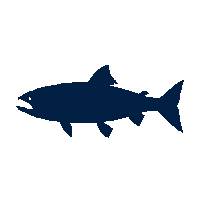 salmon silhouette