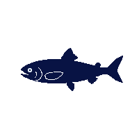 sardine silhouette