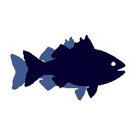 sea bass silhouette
