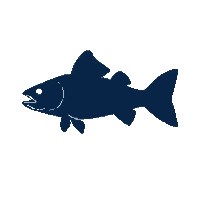 snook silhouette