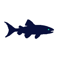 sturgeon silhouette