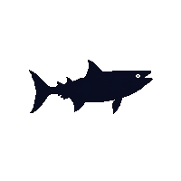 tarpon silhouette