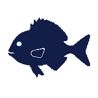 triggerfish silhouette