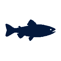 trout silhouette