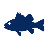 walleye silhouette