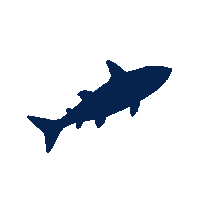 whitefish silhouette