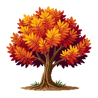Foliage & Plants