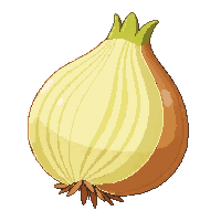 ingredient onion yellow whole peel