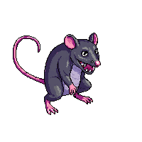 rat dead rat 004 2026 02 20T21 42 17