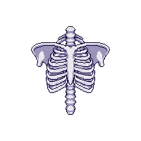 ribcage human ribs 004 2026 02 20T21 42 17