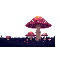 dark forest mushrooms glowing fungus 004