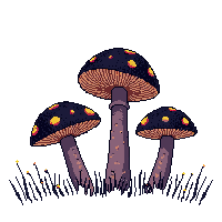 dark forest mushrooms glowing fungus 022
