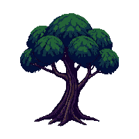 dark forest tree twisted trunk 001