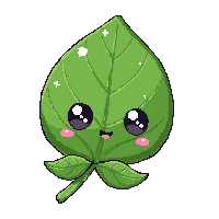 basil 2