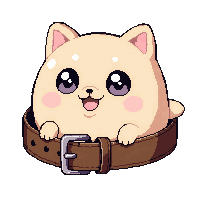 belt