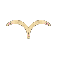 boomerang 1