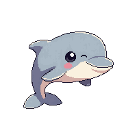 dolphin 1