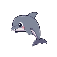 dolphin 2
