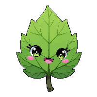 leaf