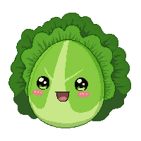 lettuce