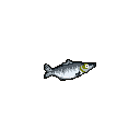 legendarycatch 2692 lure 21 anchovy