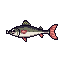 legendarycatch 2703 ned rig