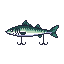 legendarycatch 2723 stickbait
