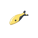 legendarycatch 3631 lure popper