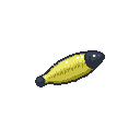 legendarycatch 3653 lure popper