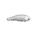 legendarycatch 3655 lure 16 grub