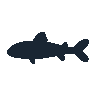 legendarycatch 2386 shortnose gar sil