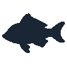 legendarycatch 2387 french angelfish sil