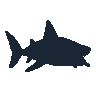 legendarycatch 2389 basking shark sil