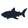 legendarycatch 2391 bull shark sil