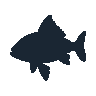 legendarycatch 2392 mutton snapper sil