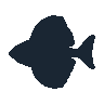 legendarycatch 2393 sunfish sil