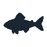 legendarycatch 2397 freshwater drum sil
