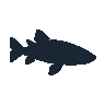legendarycatch 2399 conger eel sil