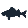 legendarycatch 2402 redfish sil