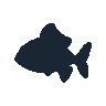 legendarycatch 2406 foxface rabbitfish sil