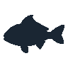 legendarycatch 2408 red snapper sil