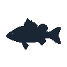 legendarycatch 2409 peacock bass sil