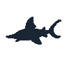 legendarycatch 2410 sawfish sil