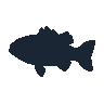 legendarycatch 2412 smallmouth bass sil