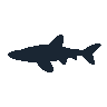 legendarycatch 2414 angel shark sil