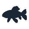 legendarycatch 2416 mandarin fish sil