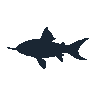 legendarycatch 2418 swordtail sil
