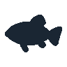 legendarycatch 2420 clownfish sil