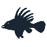 legendarycatch 2422 red lionfish sil