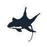 legendarycatch 2424 manta ray sil